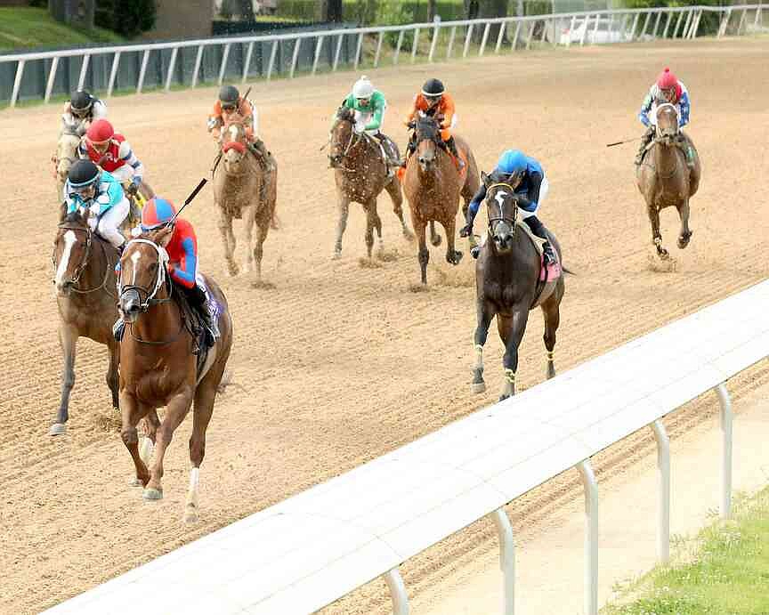 Connections run deep in Natural State stakes