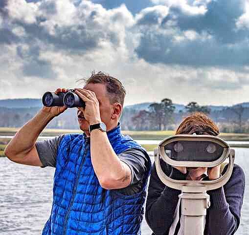 Inaugural Birding Festival of the South seeks vendors for Oct. 8-10 event