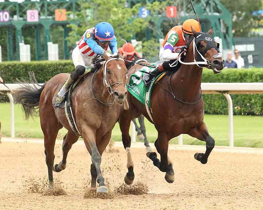 Two Seven O nips Stardale to win Bachelor Stakes