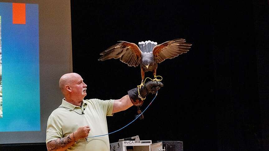 Hot Springs Village Audubon’s ‘Wings’ coming to Balboa Pavilion