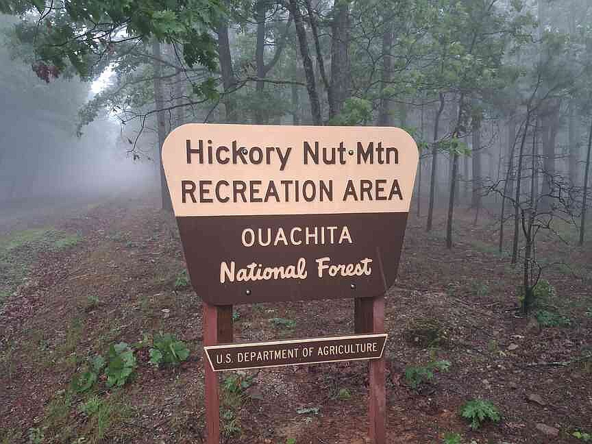 Arkansas Native Plant and Wildlife Center to release bald eagle today at Hickory Nut Mountain Vista