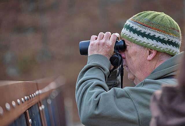 Passes available for inaugural Birding Festival of the South