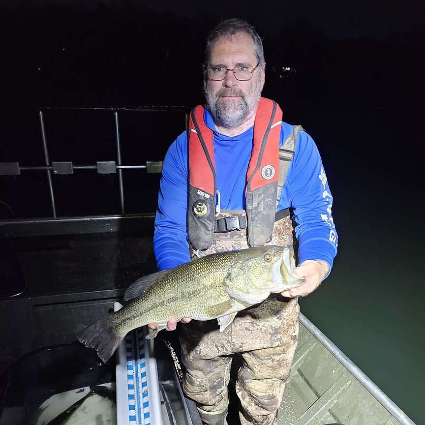 Arkansas Game and Fish Commission study shows bass thriving at Beaver Lake