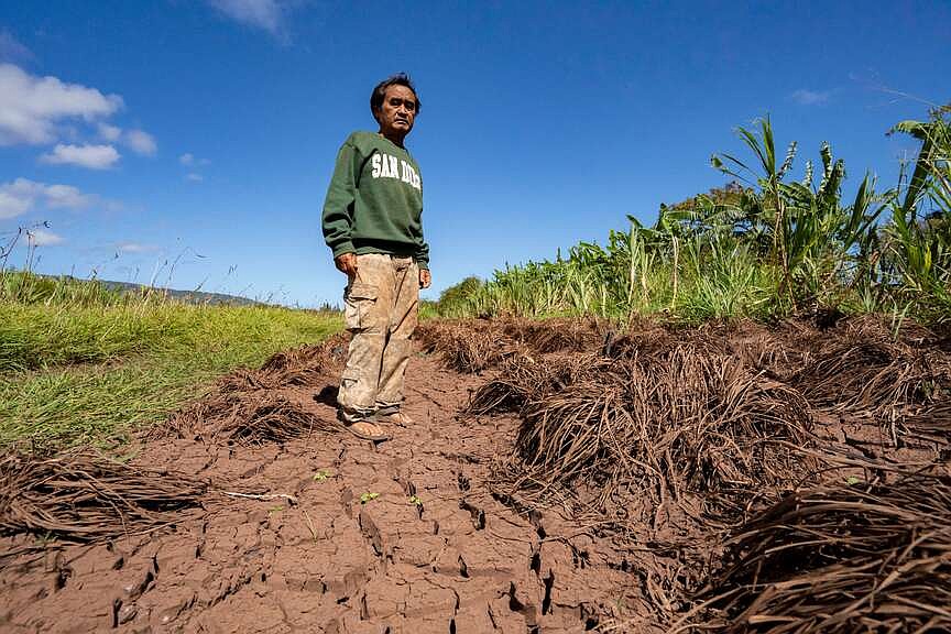 Flooding leaves Hawaii’s farms, crops struggling
