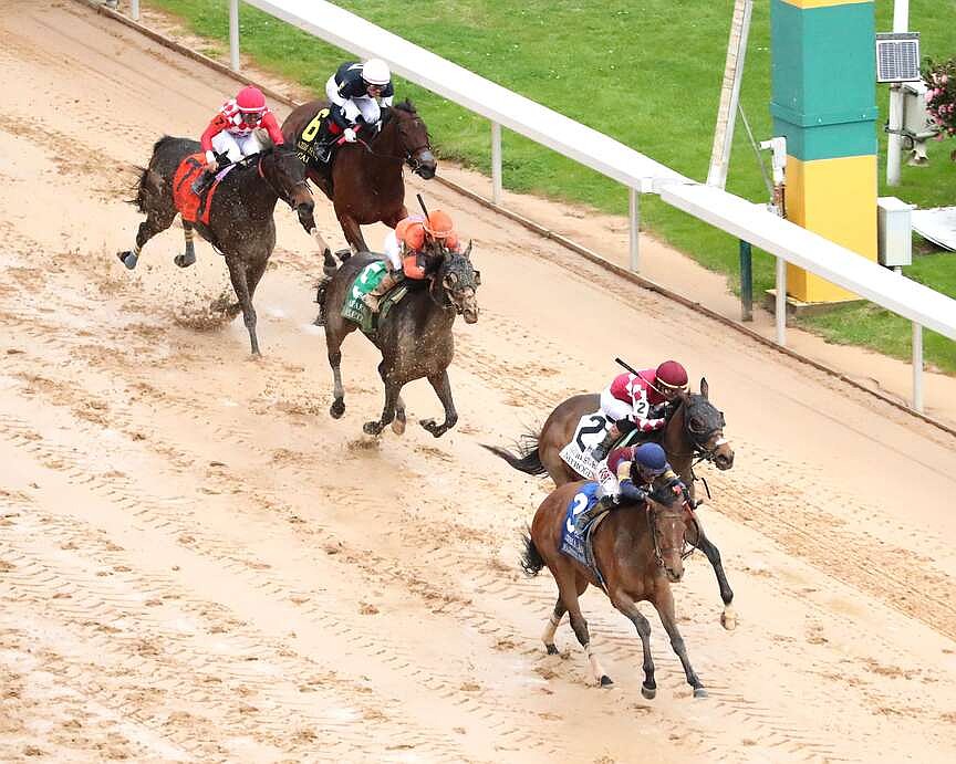 Nitrogen, Journalism dot G1 Saratoga fields