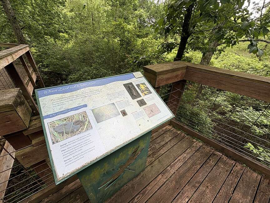 WATCH | Wildlife, trails make Crowley’s Ridge center worth the drive