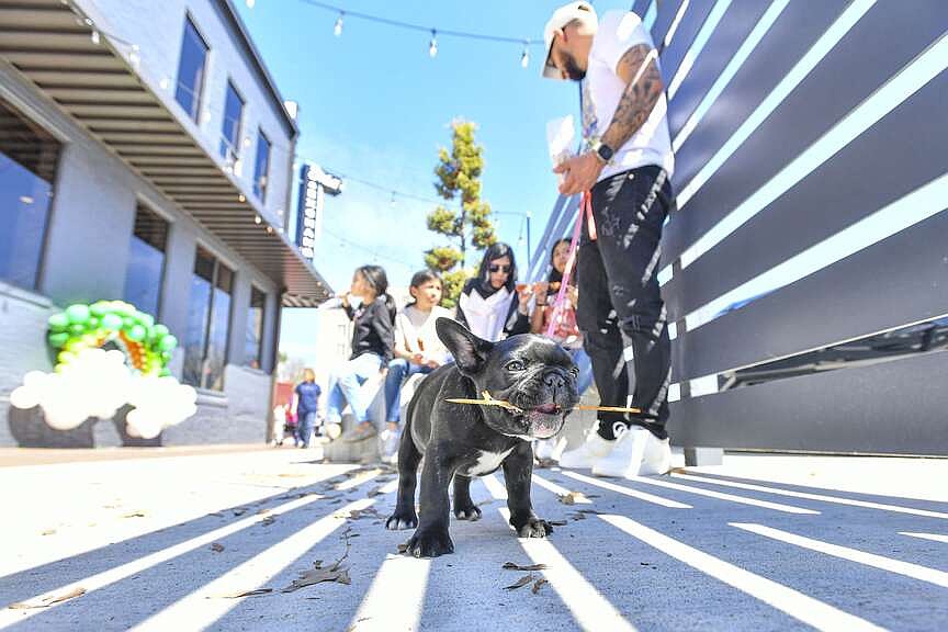 Quick Pick: Beat the heat at the Bakery Distict’s third annual Street Fest June 20