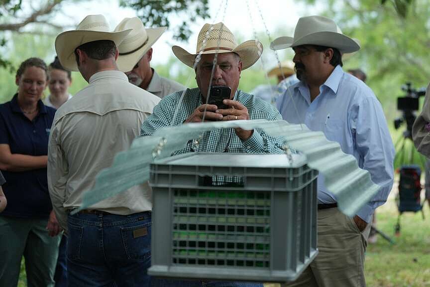 Arkansas adds reporting system, animal inspection requirement to prevent screwworm spread