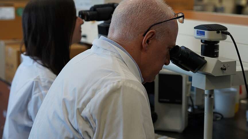 Study says human, cat cancers similar