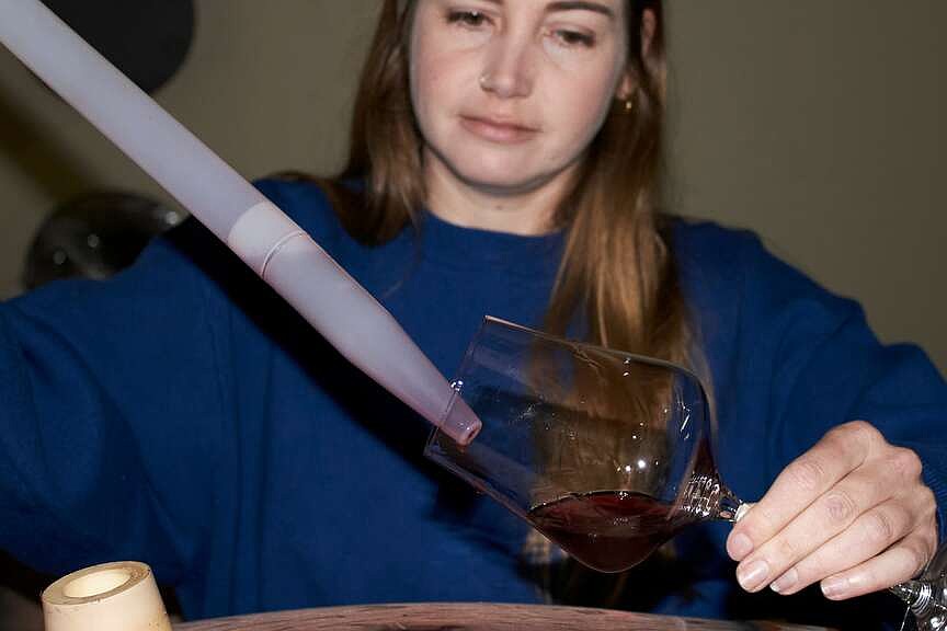 Pandemic laid roots for dream vineyard