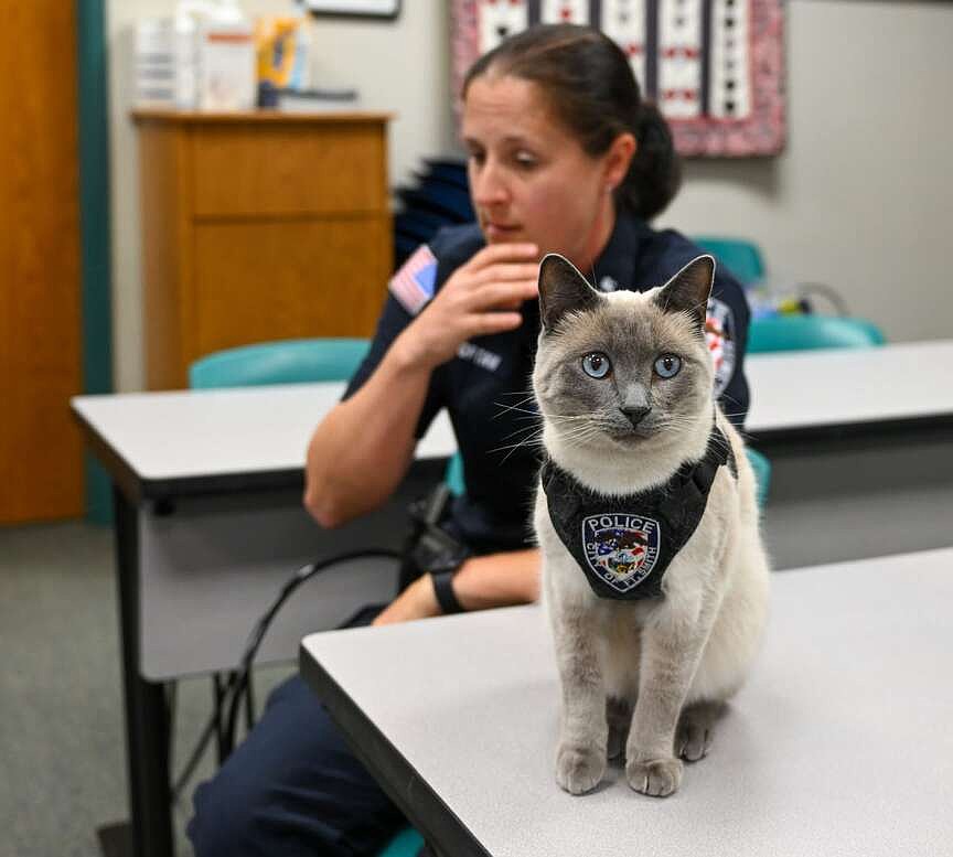 Quick Pick: Pawfficer Fuzz visits Fort Smith library
