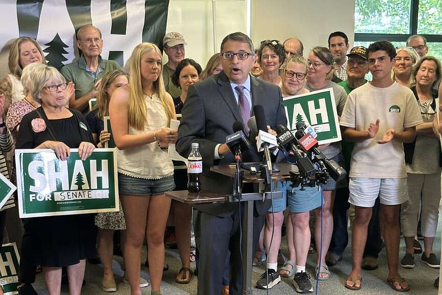 Democrats jockey to replace Platner