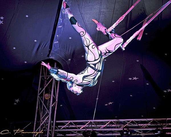 WATCH | Germany's Great Bavarian Circus performing 7 shows at