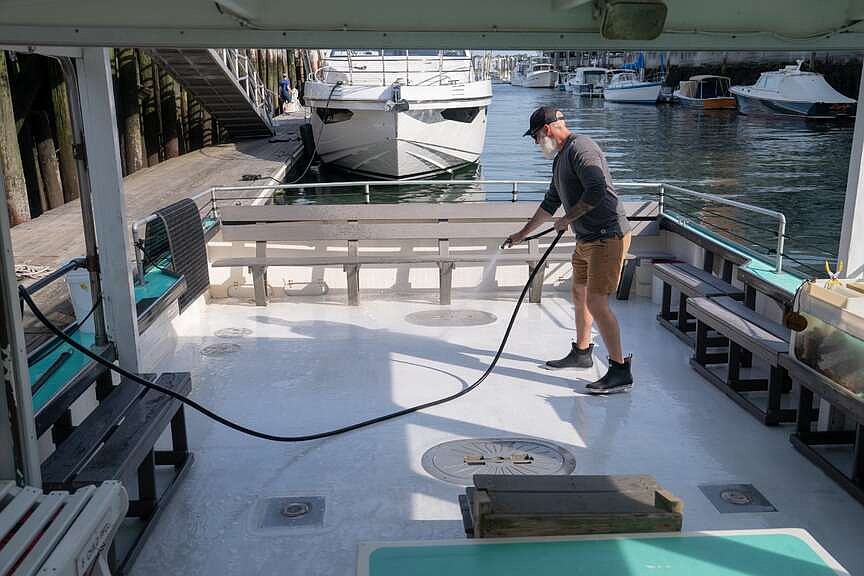 Maine lobsterman, seagull form lasting friendship