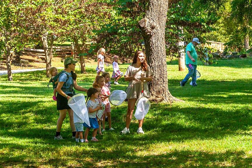 Bug Crawl gives chance to examine a bug’s life