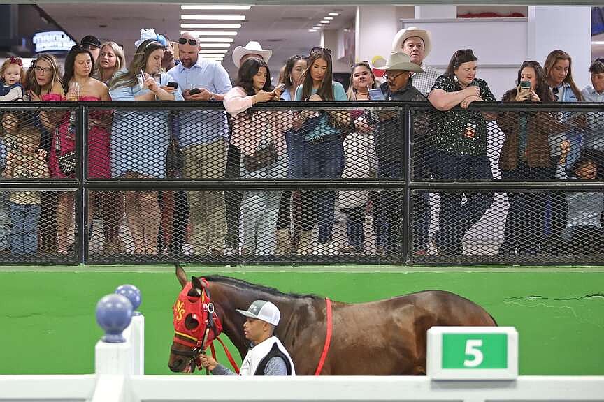 Racing yearns for new turf to stake future