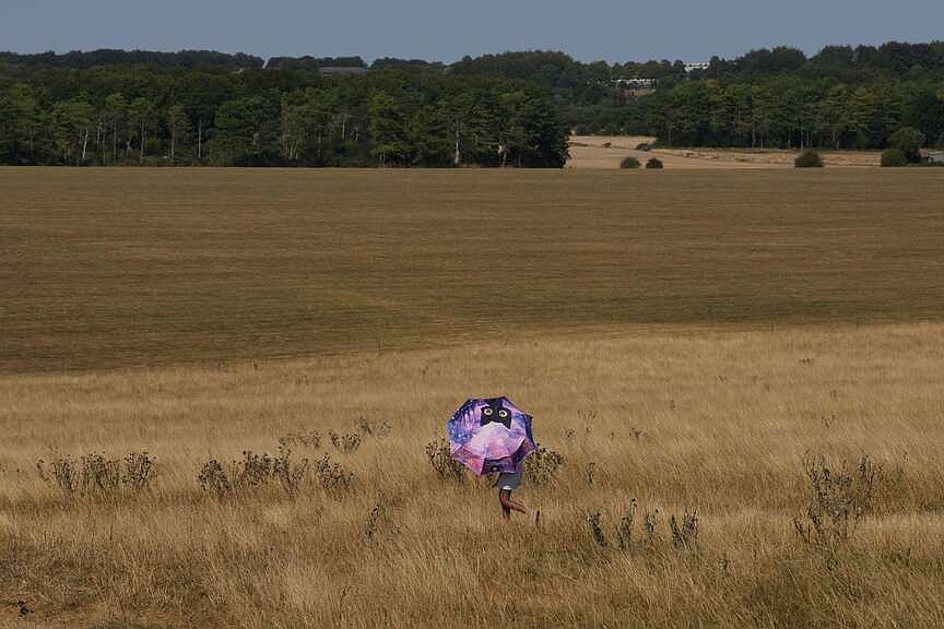 Europe continues to face wildfire surge