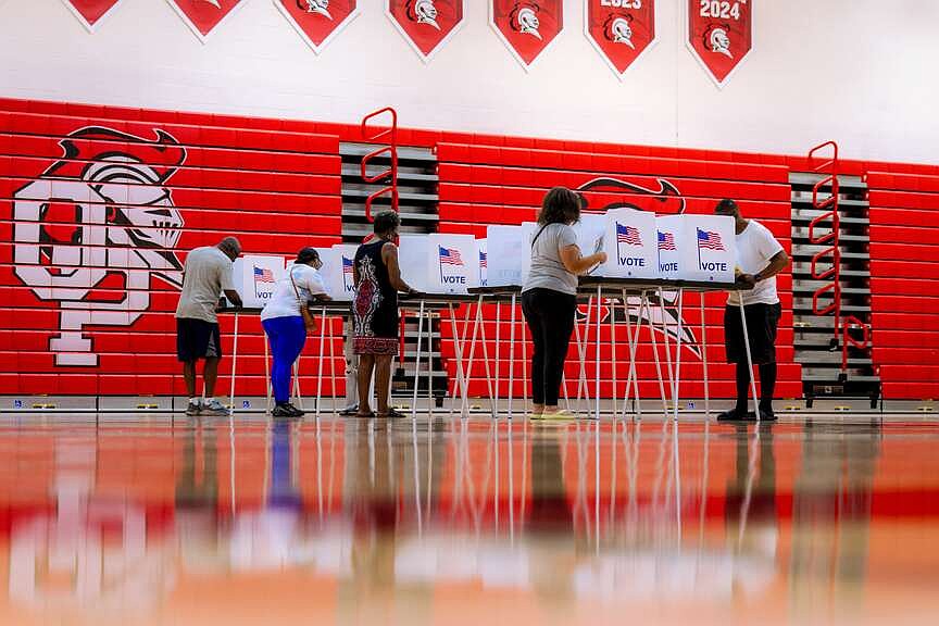 Democrats vote in primaries in record-breaking numbers