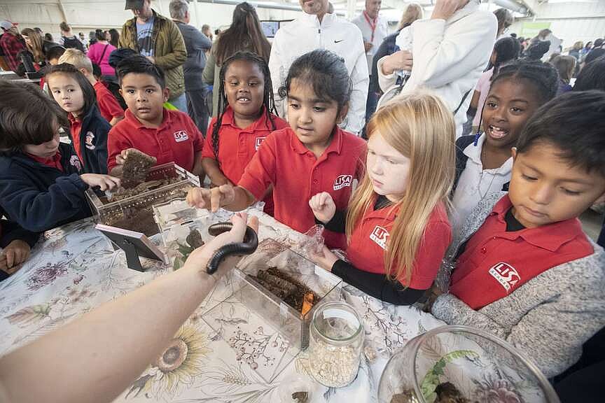 Festival buzzes back as family event