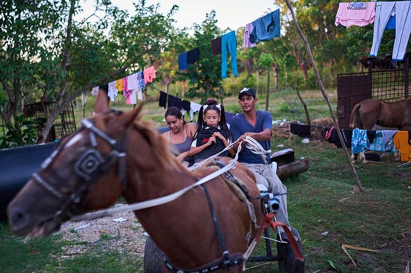 The Barroso family travels by horse-drawn carriage as they head to school for their two daughters' first day back to classes in Minas, Cuba's Havana province, Tuesday, Sept. 1, 2026. (AP Photo/Ramon Espinosa)