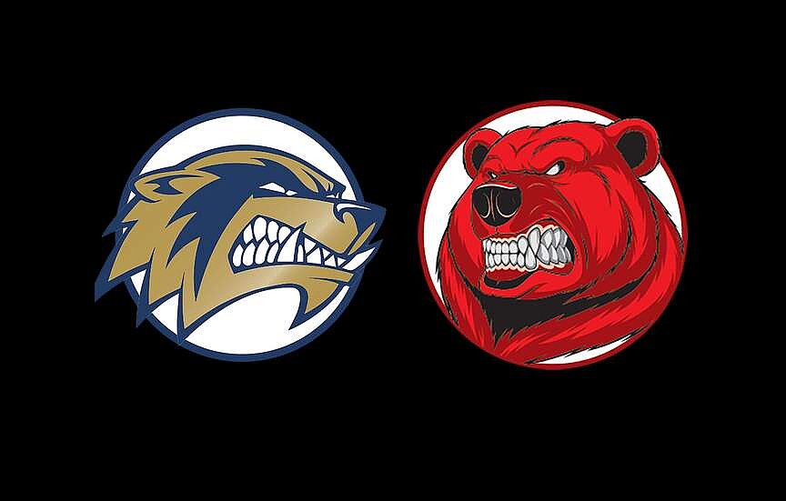 Bentonville West takes over during third set, downs Fort Smith Northside | Northwest Arkansas Democrat-Gazette