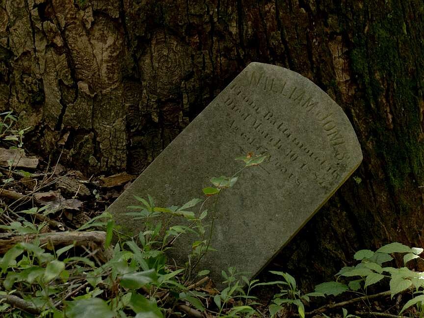 Study reveals deaths, burial sites of children