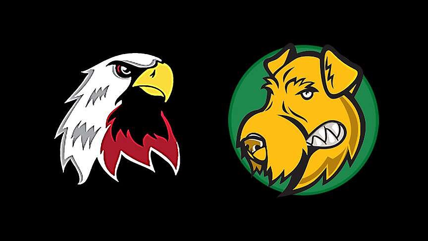 Perkins leads Alma Airedales to win over Vilonia