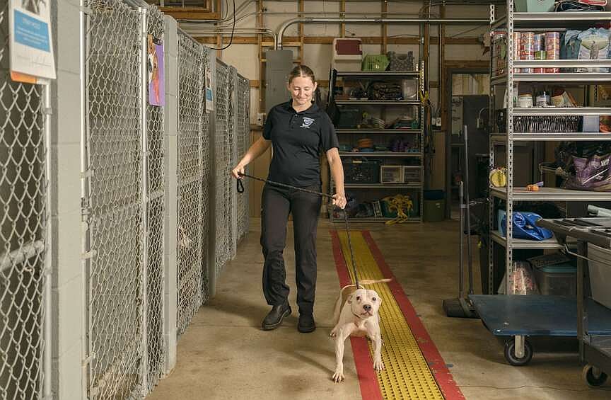 Best Friends Pet Resource Center, Centerton Animal Services to offer adoptable d...