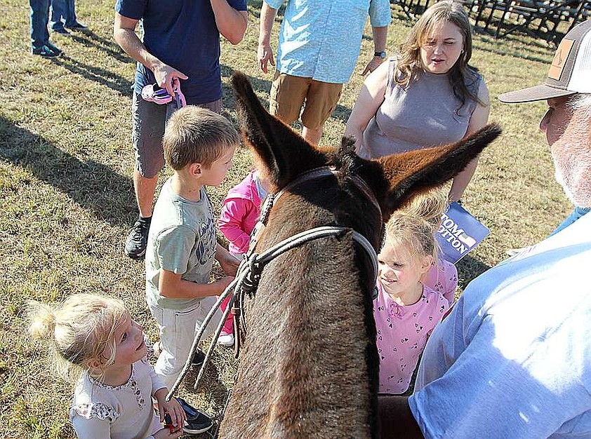 OPINION: Riding a mule, greeting neighbors and newcomers | Pea Ridge Times