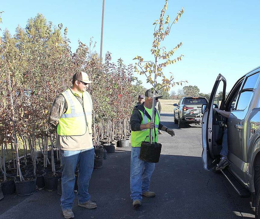 Pea Ridge fall tree giveaway set for Friday | The Arkansas Democrat ...
