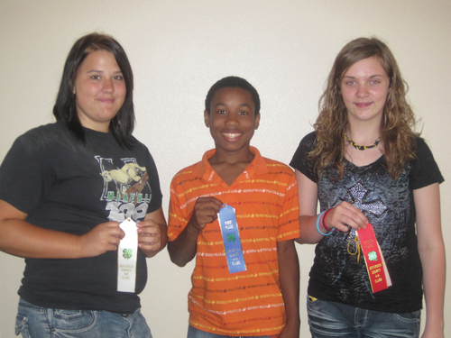 Jefferson County 4-H announces contest winners