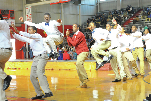 Stepping for a Cause