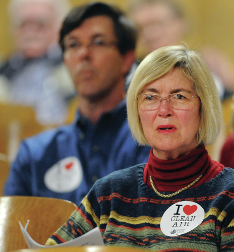 Citizens, environmentalists give views on White Bluff