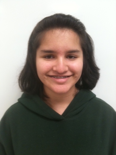WH junior high student wins county contest