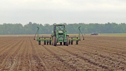 Rice at lowest acreage in Ark since 1989