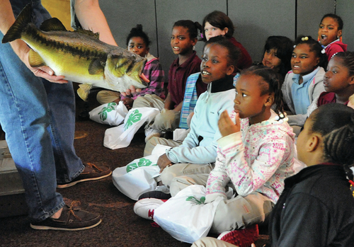 Pine Bluff is getting greener, officials say