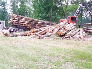 Site for center cleared