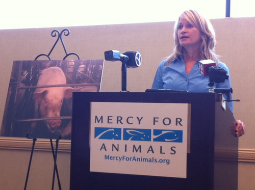Groups accuse Wal-Mart, Tyson Foods of supporting animal abuse