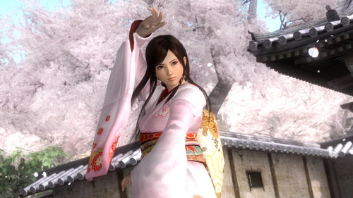 Game Dork/Fun Dead or Alive 5′ excels online, reviewer says