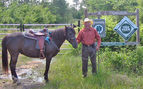 Cleveland County man named Oustanding Tree Farmer