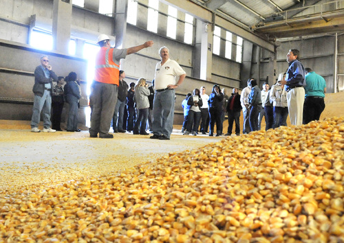 Chamber farm tour highlights region’s farming heritage