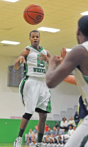 Boll Weevils