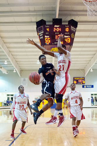 Owls land in state