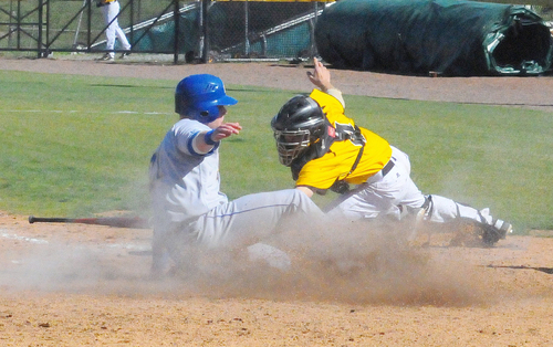 Golden Lions fail to pickup win Jackrabbits