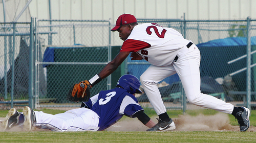 Wildcats outhit, outperform Zebras