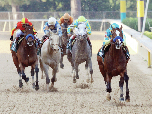 Meister of Oaklawn