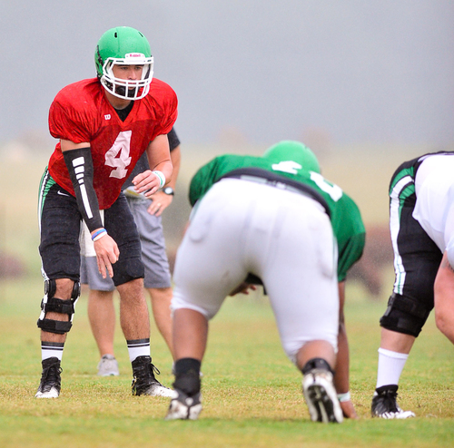 Uncertainty surrounds Boll Weevils’ season opener