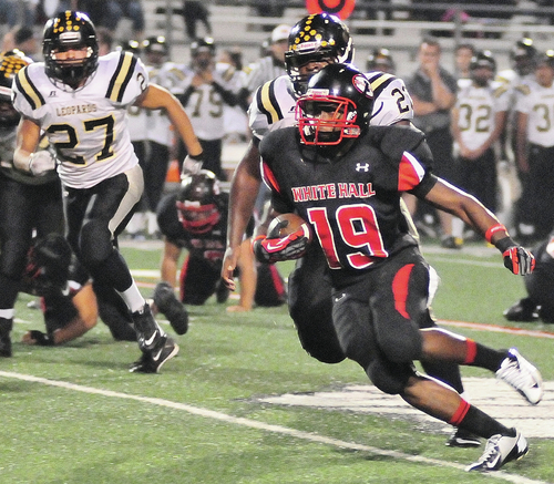 ‘Dogs Outrun Leopards