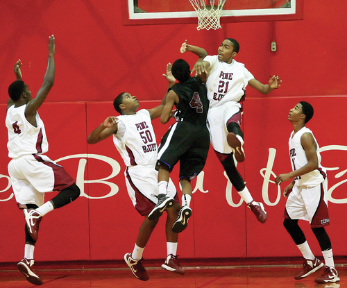Zebras drop close one