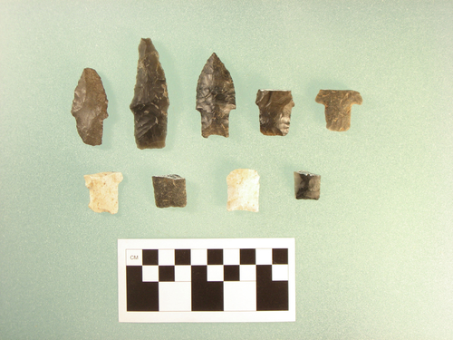 UAPB archaeologist helps update exhibit at Jacksonville library